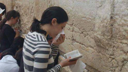 娱乐吃瓜君网红对比